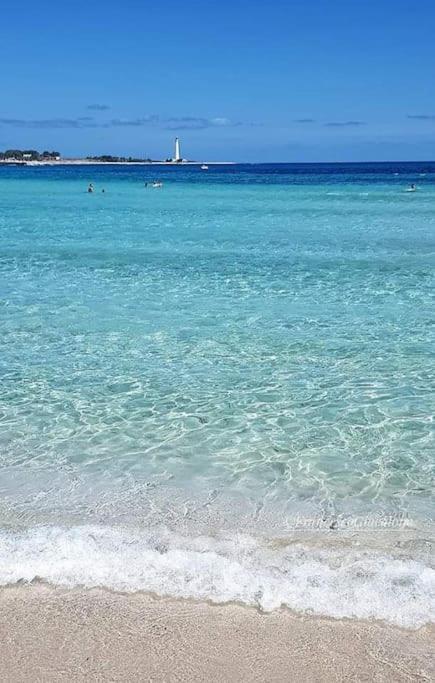 Alofara Apartment San Vito Lo Capo Eksteriør bilde